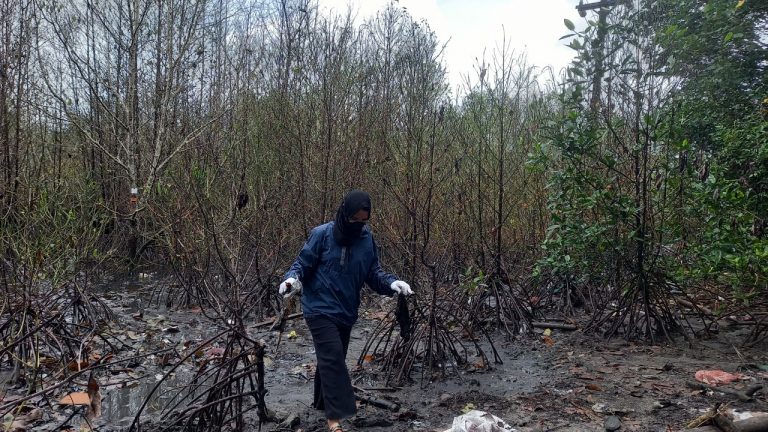 Pulihkan Habitat Yang Hilang, Jala Ina Ajak Masyarakat Adopsi Mangrove