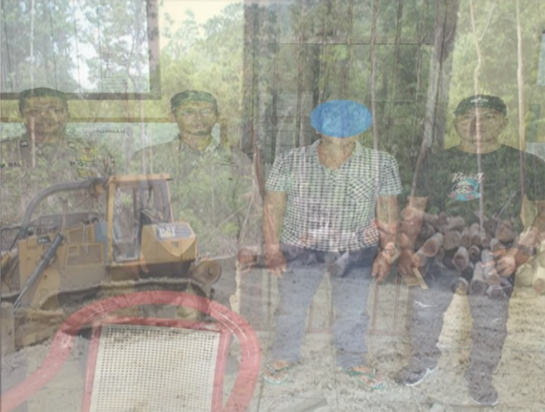 5 Bulan Ditetapkan Tersangka, Status Pelaku Ilegal Logging di Sabuai Mengambang