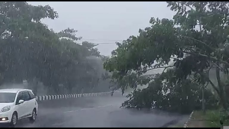 Angin Kencang melanda Kepulauan Aru, 4 rumah rusak  dan sejumlah pohon tumbang
