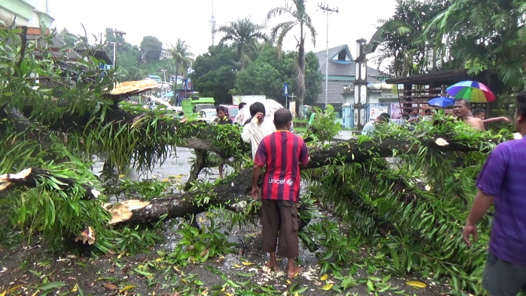 Diterpa Hujan Angin, Pohon Tumbang Tutup Ruas Jalan Sultan Hasanudin,Tantui